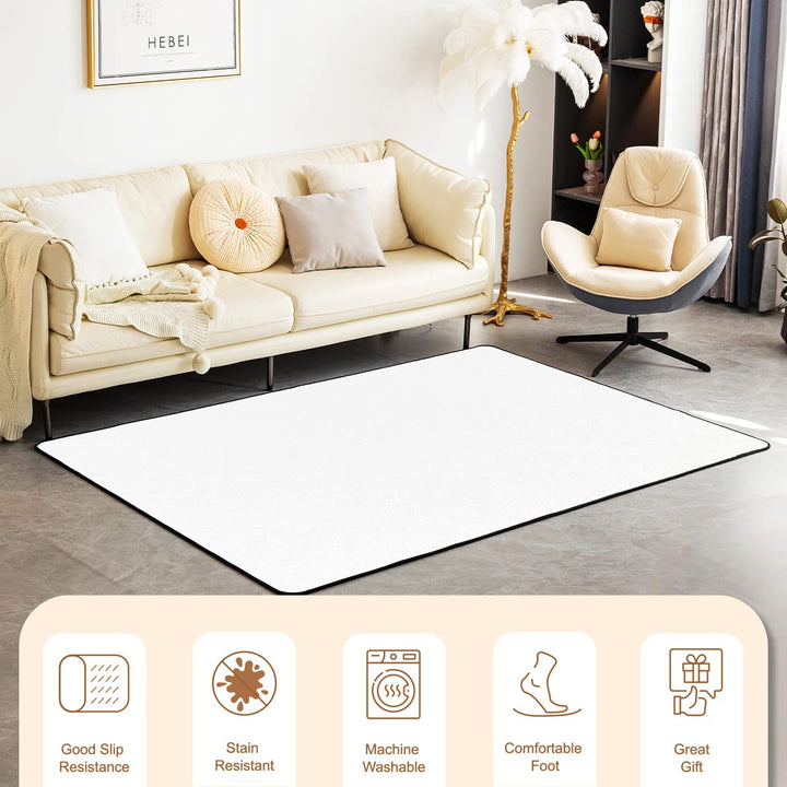 Tortilla Print Area Rug 3x5 for Bedroom Carpet for Living Room Indoor Floor Mat Non Slip Home Decorative Rug Washable